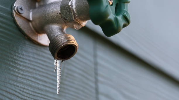 Best Pipe Repair Near Me  in Arp, TX